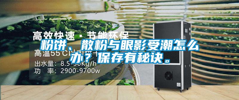粉餅、散粉與眼影受潮怎么辦？保存有秘訣。