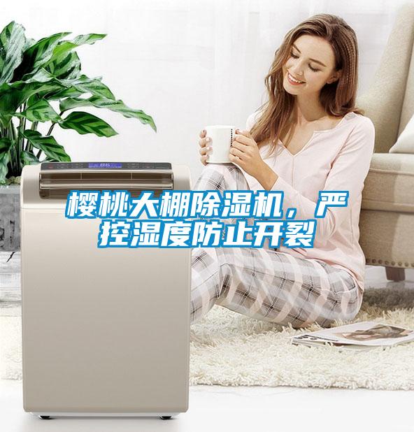 櫻桃大棚除濕機(jī)，嚴(yán)控濕度防止開裂