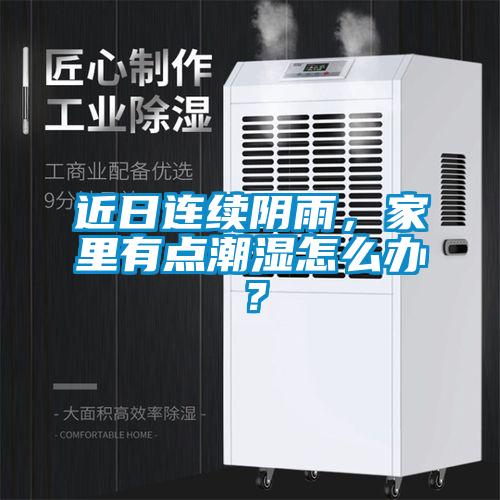 近日連續(xù)陰雨，家里有點(diǎn)潮濕怎么辦？