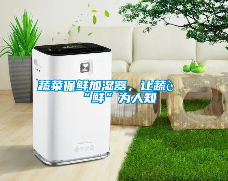 蔬菜保鮮加濕器，讓蔬菜“鮮”為人知