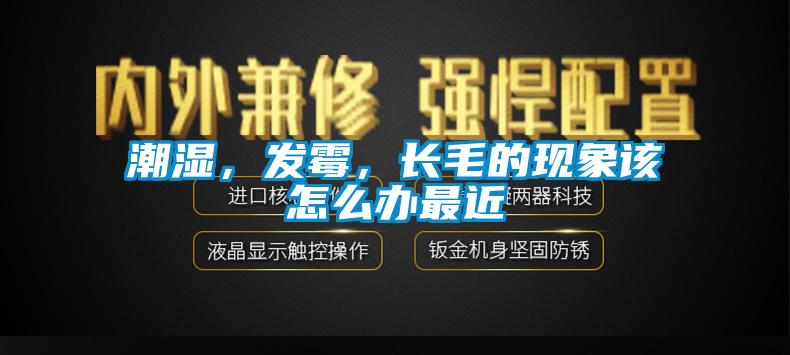 潮濕，發(fā)霉，長毛的現(xiàn)象該怎么辦最近