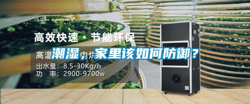 潮濕，家里該如何防御？