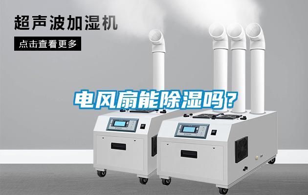 電風扇能除濕嗎？