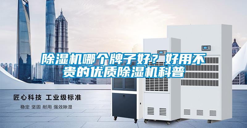 除濕機哪個牌子好？好用不貴的優(yōu)質除濕機科普