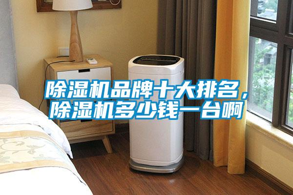 除濕機(jī)品牌十大排名，除濕機(jī)多少錢一臺(tái)啊