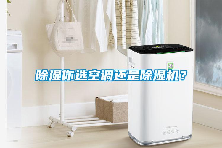 除濕你選空調(diào)還是除濕機？