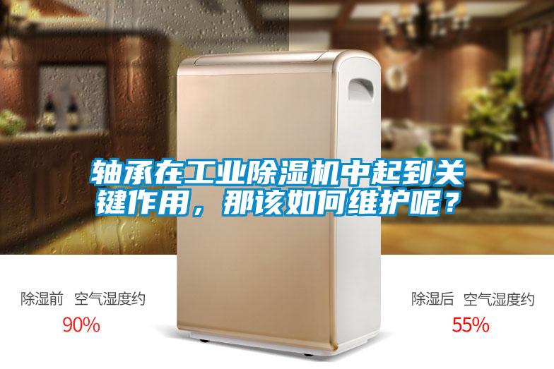 軸承在工業(yè)除濕機(jī)中起到關(guān)鍵作用，那該如何維護(hù)呢？
