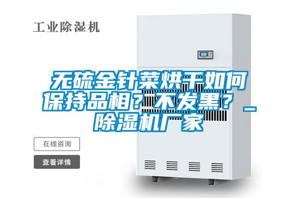 無硫金針菜烘干如何保持品相？不發(fā)黑？_除濕機(jī)廠家