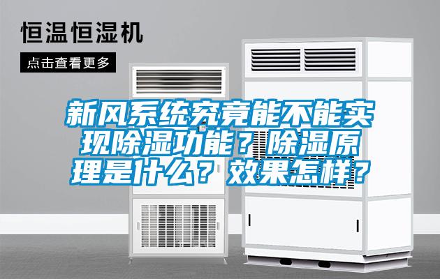 新風(fēng)系統(tǒng)究竟能不能實(shí)現(xiàn)除濕功能？除濕原理是什么？效果怎樣？