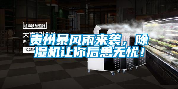 貴州暴風(fēng)雨來(lái)襲，除濕機(jī)讓你后患無(wú)憂！