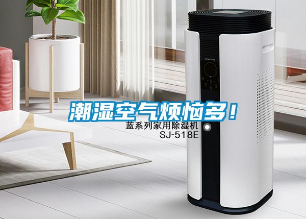 潮濕空氣煩惱多！
