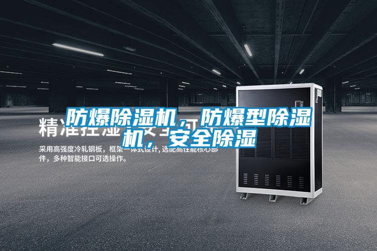 防爆除濕機(jī)，防爆型除濕機(jī)，安全除濕