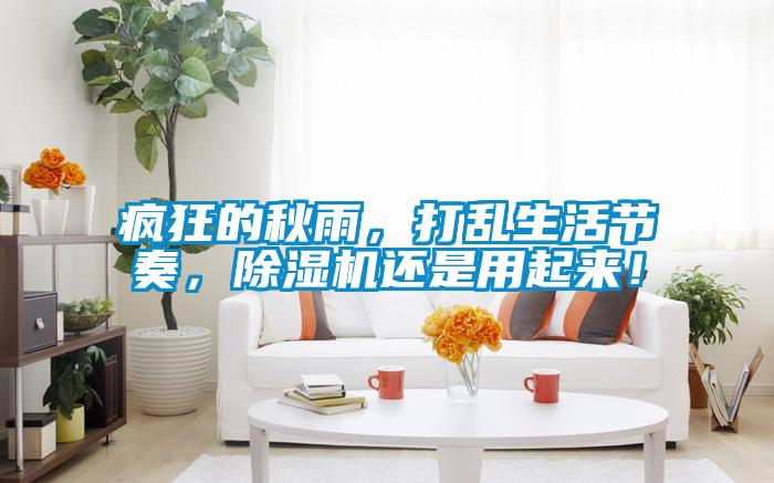 瘋狂的秋雨，打亂生活節(jié)奏，除濕機(jī)還是用起來(lái)！
