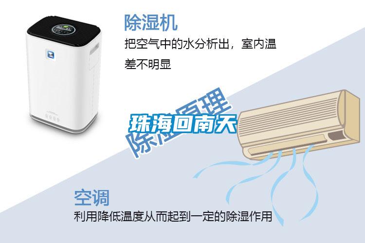 珠?；啬咸?/></p>
						    <p style=