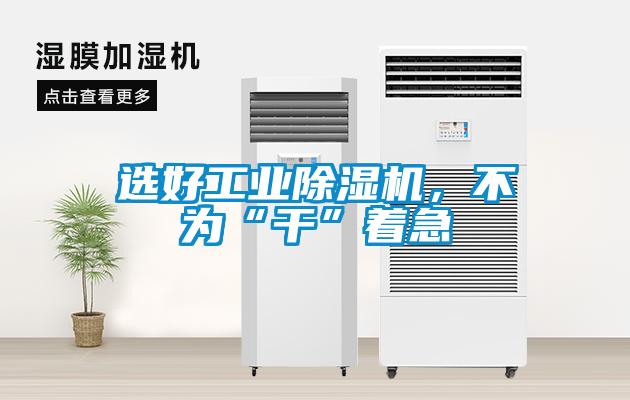 選好工業(yè)除濕機(jī)，不為“干”著急