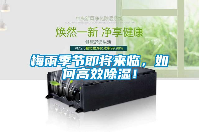 梅雨季節(jié)即將來(lái)臨，如何高效除濕！