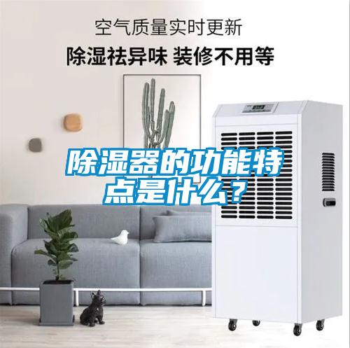 除濕器的功能特點(diǎn)是什么？