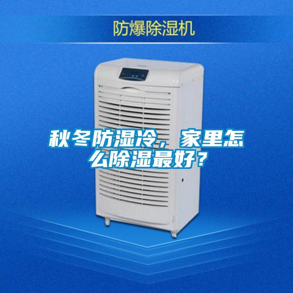 秋冬防濕冷，家里怎么除濕最好？