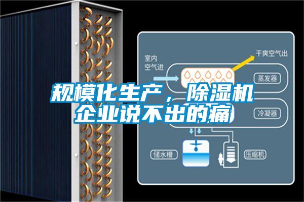 規(guī)模化生產(chǎn)，除濕機企業(yè)說不出的痛