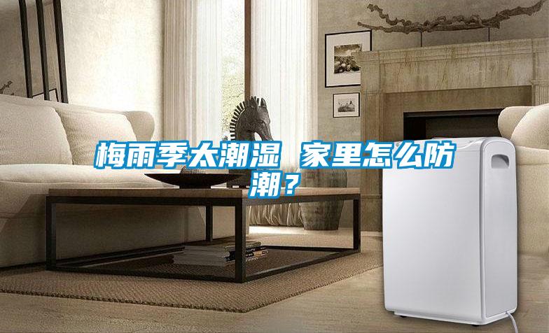 梅雨季太潮濕 家里怎么防潮？