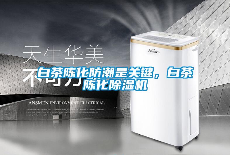 白茶陳化防潮是關鍵，白茶陳化除濕機