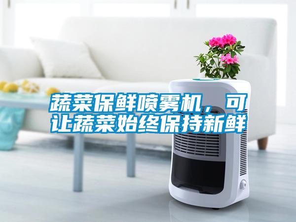 蔬菜保鮮噴霧機(jī)，可讓蔬菜始終保持新鮮