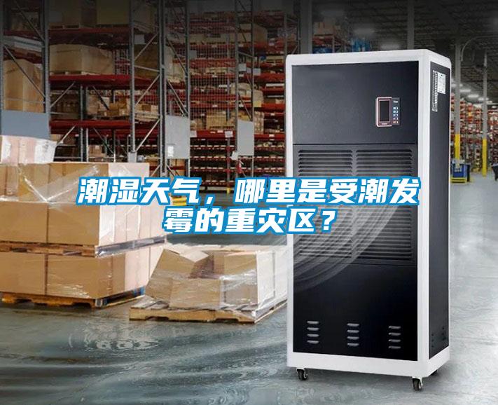 潮濕天氣，哪里是受潮發(fā)霉的重災(zāi)區(qū)？