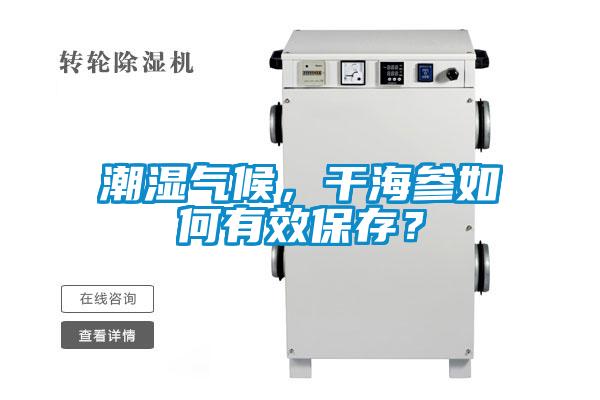 潮濕氣候，干海參如何有效保存？