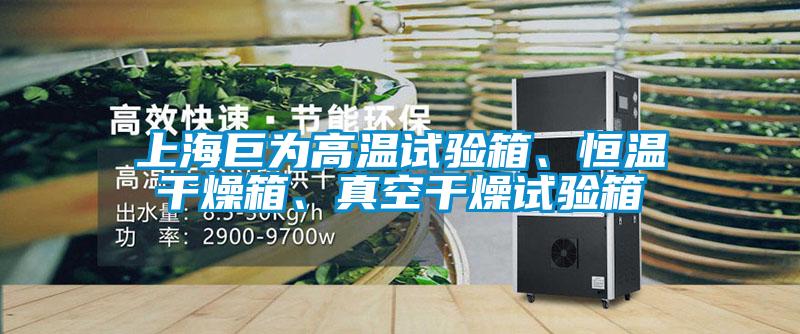 上海巨為高溫試驗箱、恒溫干燥箱、真空干燥試驗箱