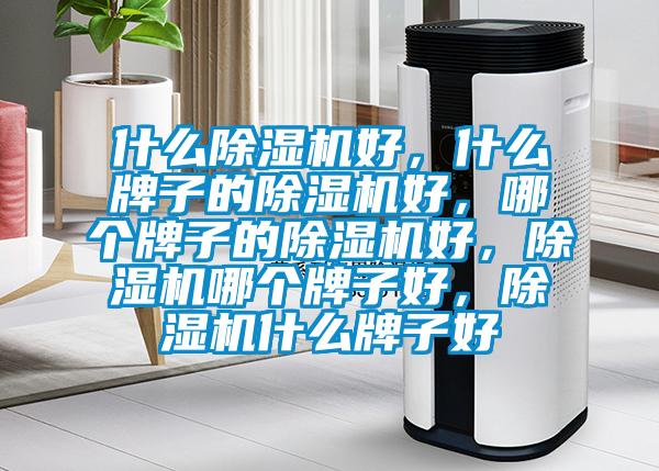 什么除濕機好，什么牌子的除濕機好，哪個牌子的除濕機好，除濕機哪個牌子好，除濕機什么牌子好
