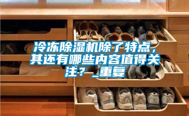 冷凍除濕機除了特點，其還有哪些內(nèi)容值得關(guān)注？_重復