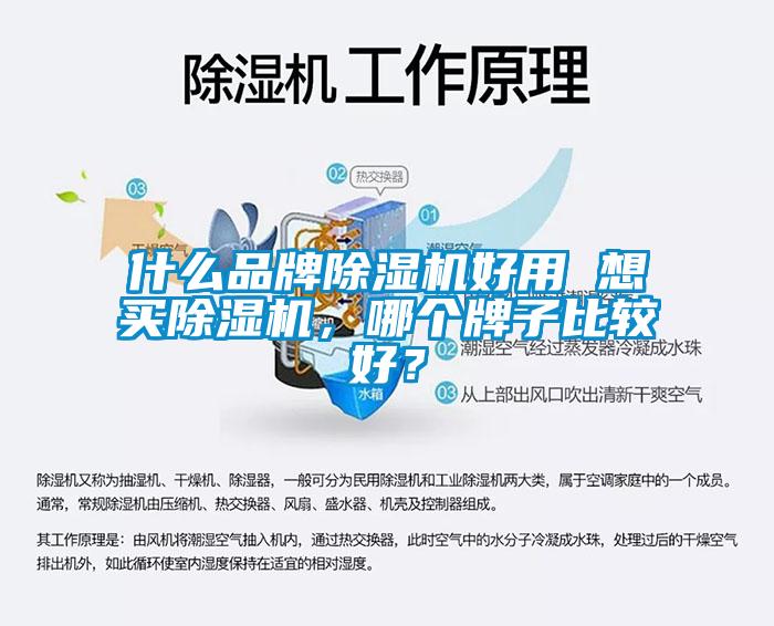 什么品牌除濕機好用 想買除濕機，哪個牌子比較好？