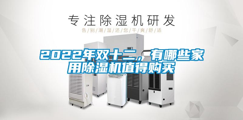 2022年雙十二，有哪些家用除濕機值得購買