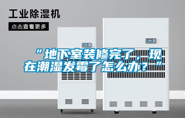 “地下室裝修完了，現(xiàn)在潮濕發(fā)霉了怎么辦？”