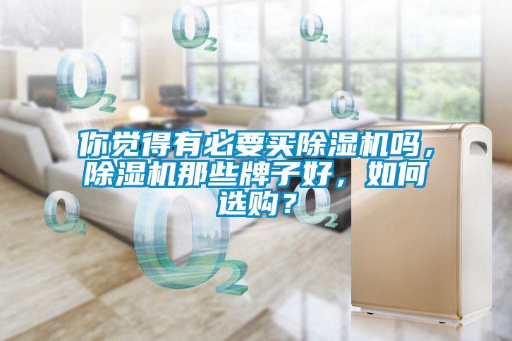 你覺(jué)得有必要買(mǎi)除濕機(jī)嗎，除濕機(jī)那些牌子好，如何選購(gòu)？