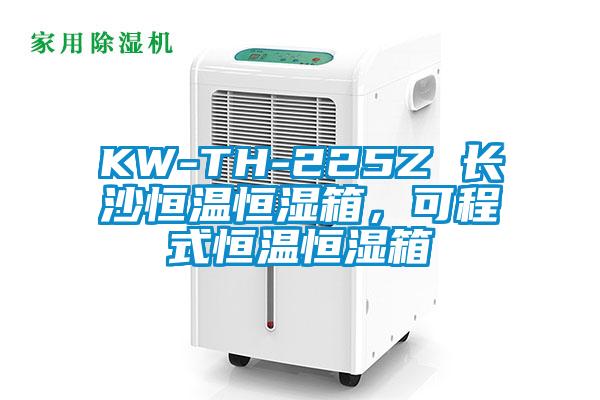 KW-TH-225Z 長沙恒溫恒濕箱，可程式恒溫恒濕箱
