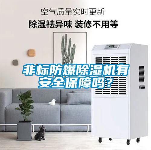 非標(biāo)防爆除濕機(jī)有安全保障嗎？