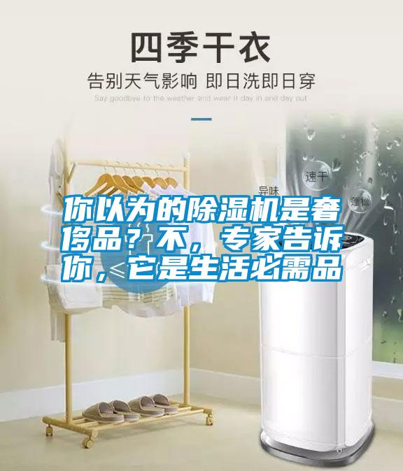 你以為的除濕機是奢侈品？不，專家告訴你，它是生活必需品