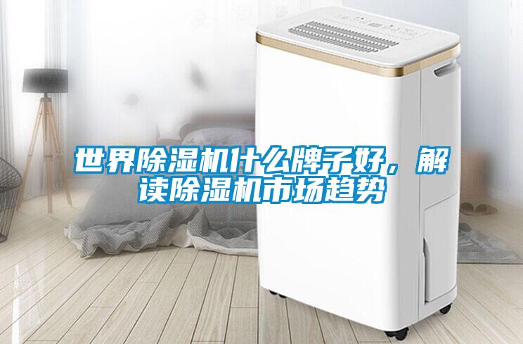 世界除濕機(jī)什么牌子好，解讀除濕機(jī)市場趨勢