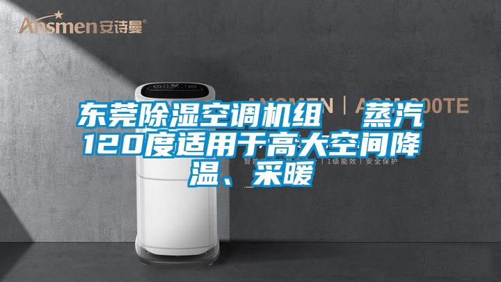 東莞除濕空調(diào)機組  蒸汽120度適用于高大空間降溫、采暖