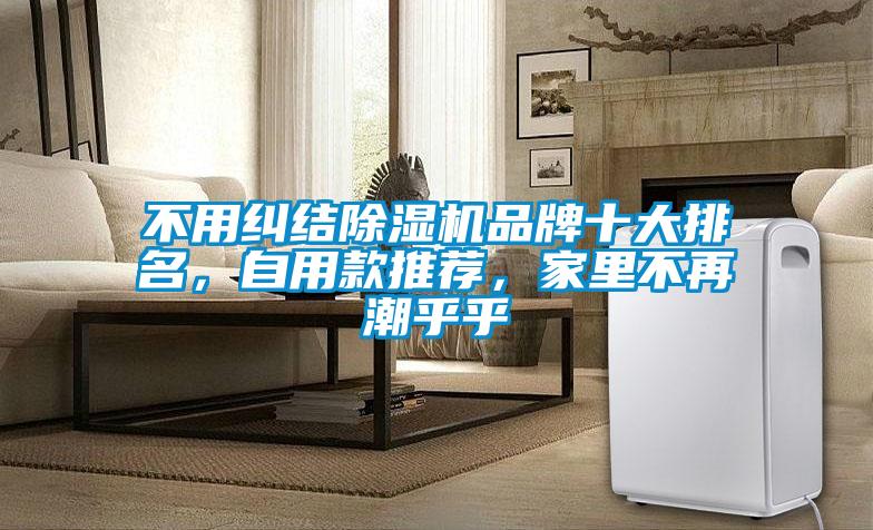 不用糾結(jié)除濕機(jī)品牌十大排名，自用款推薦，家里不再潮乎乎