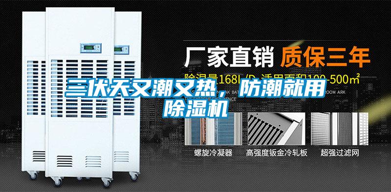 三伏天又潮又熱，防潮就用除濕機