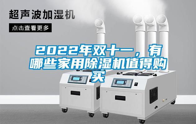 2022年雙十一，有哪些家用除濕機(jī)值得購(gòu)買(mǎi)