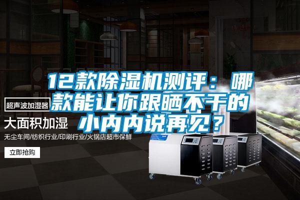 12款除濕機測評：哪款能讓你跟曬不干的小內(nèi)內(nèi)說再見？