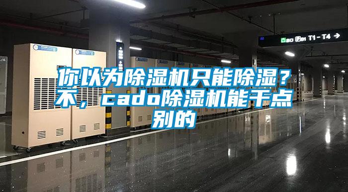 你以為除濕機(jī)只能除濕？不，cado除濕機(jī)能干點(diǎn)別的