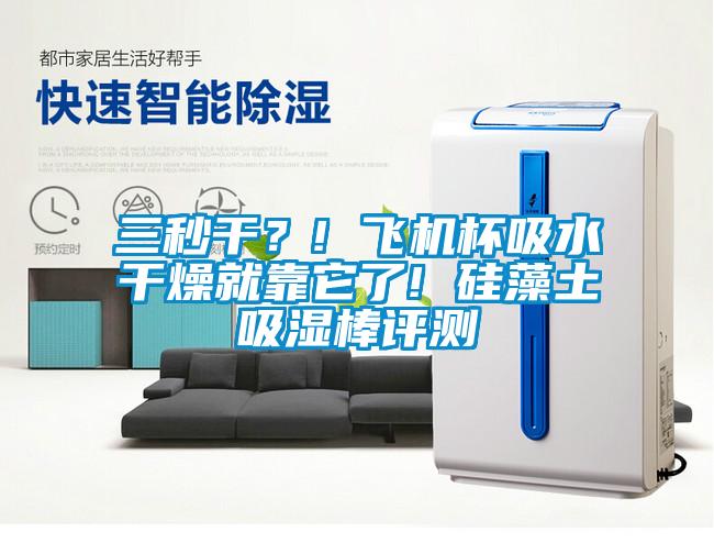 三秒干？! 飛機(jī)杯吸水干燥就靠它了! 硅藻土吸濕棒評(píng)測(cè)