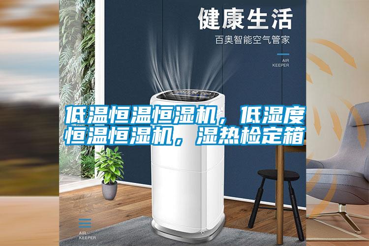 低溫恒溫恒濕機(jī)，低濕度恒溫恒濕機(jī)，濕熱檢定箱