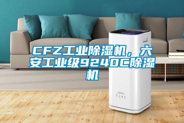 CFZ工業(yè)除濕機(jī)，六安工業(yè)級9240C除濕機(jī)