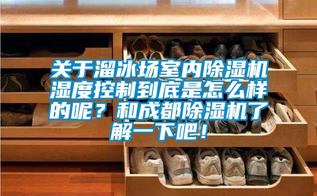 關(guān)于溜冰場(chǎng)室內(nèi)除濕機(jī)濕度控制到底是怎么樣的呢？和成都除濕機(jī)了解一下吧！