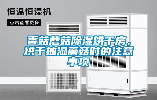 香菇蘑菇除濕烘干房，烘干抽濕蘑菇時的注意事項
